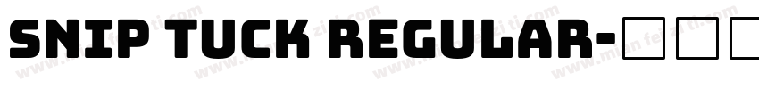 Snip Tuck Regular字体转换